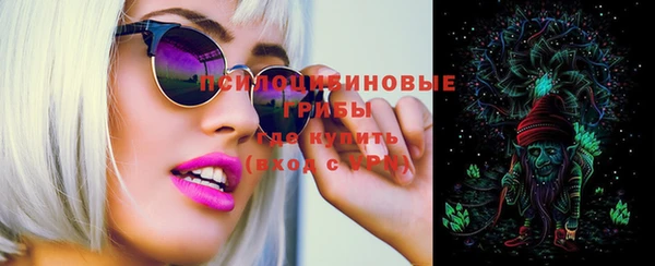 эйфоретик Баксан